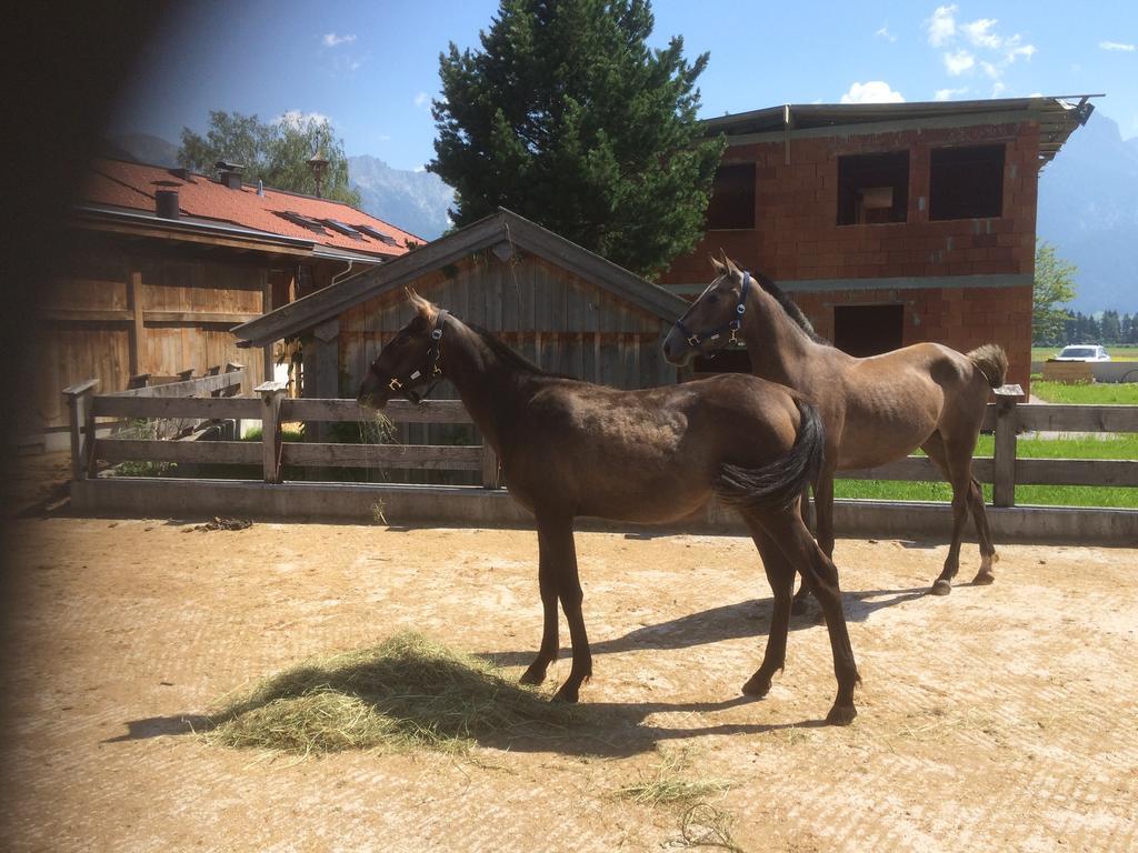 Kleintoedlinggut Βίλα Leogang Εξωτερικό φωτογραφία